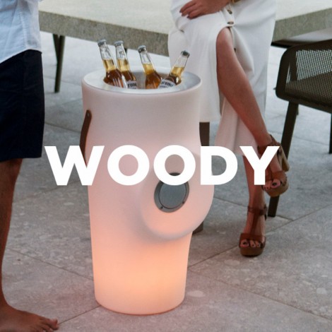 Botellero iluminado con altavoz Woody, newgarden